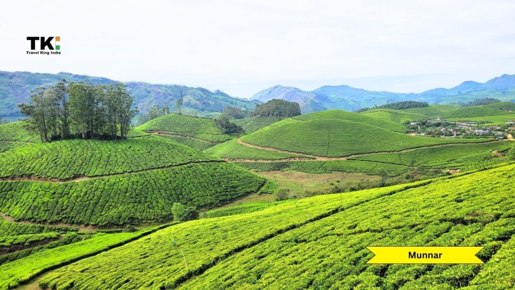 Kerala Tour 5 Nights 6 Days Travel King India kerala-tour-5-nights-6-days-travel-king-india