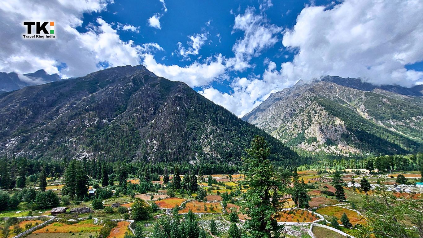 Shimla Chitkul Tour
