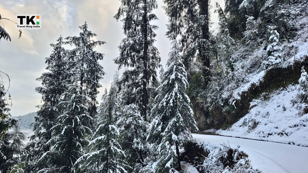 Dalhousie Tour Package