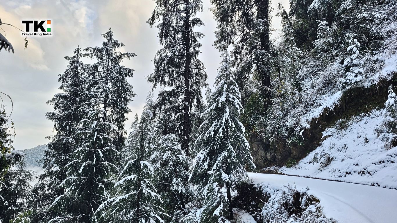 Dalhousie Tour Package
