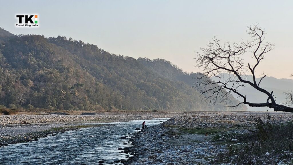 Delhi to Jim Corbett