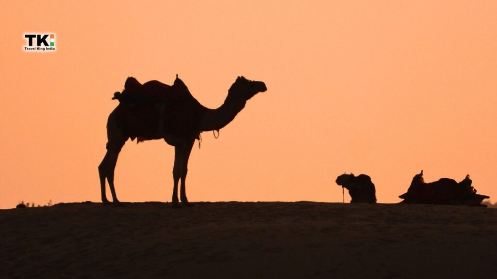 Jaisalmer Tour 3 Nights 4 Days